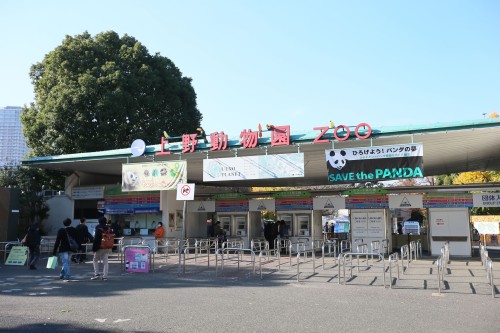 株式会社スターズ スターキッズ保育園(本園)の正職員 保育士 認証・認可保育所の求人情報イメージ5